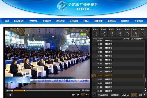 合肥新闻频道在线观看,实时掌握合肥最新动态