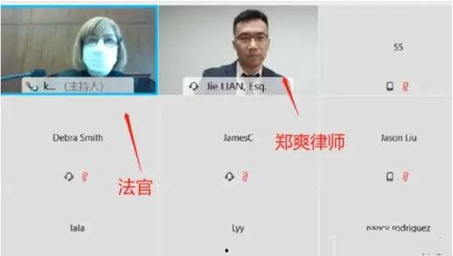 陈泽爆料庭审视频,揭秘案件背后真相