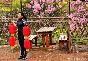 独家爆料 平乐下村视频,视频带你领略乡村魅力