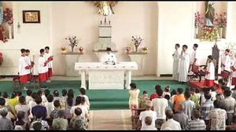 圣血在线观看,热血激战，探寻神秘圣血之谜