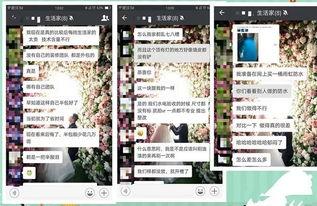 我是生活家爆料视频大全,揭秘日常生活中的趣味瞬间