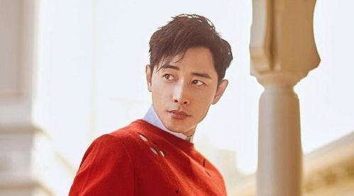 娱乐大爆料胡歌王俊凯,揭秘明星幕后故事