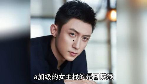 爆料娱乐圈八卦的狗仔,狗仔爆料背后的惊人真相