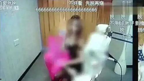 女网红事件爆料视频大全,揭秘网络红人背后的真相