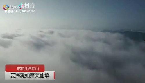 铅山最新爆料新闻视频,视频揭露惊人真相，引发社会关注