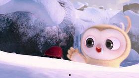 明天免费吃瓜的搞笑视频,笑料横生的搞笑视频大放送！