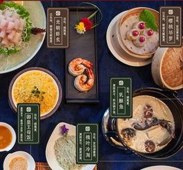 大唐美食爆料视频下载