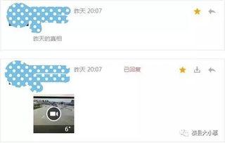 往期视频爆料怎么查找,深度解析幕后故事