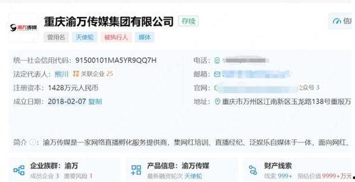 小团团配音爆料视频,揭秘幕后故事与精彩瞬间