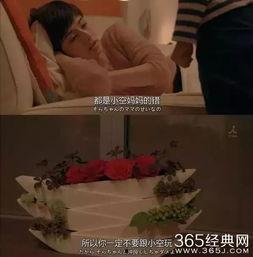 娱乐吃瓜酱人贩子小说,一场惊心动魄的悬疑大剧