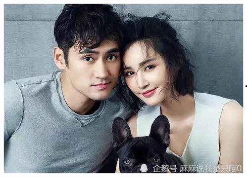 娱乐圈吃瓜的主播都有谁