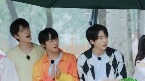 娱乐八卦吃瓜王小说,揭秘吃瓜王小说背后的秘密世界