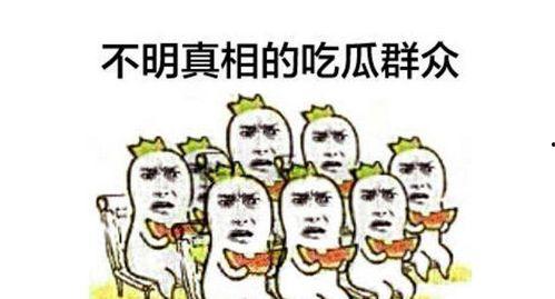 娱乐吃瓜群众1分队