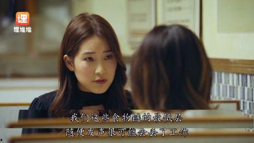 娱乐圈今日吃瓜小说