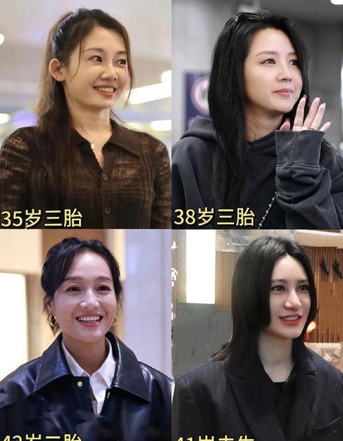 娱乐圈吃瓜爽文合集,揭秘明星幕后真相，吃瓜爽文合集大放送